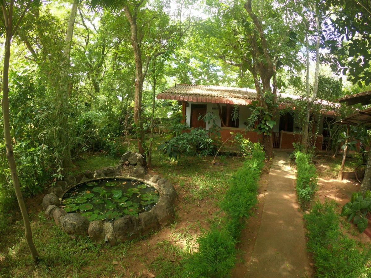 New Sisira Natural Lodge Sigirija Zewnętrze zdjęcie